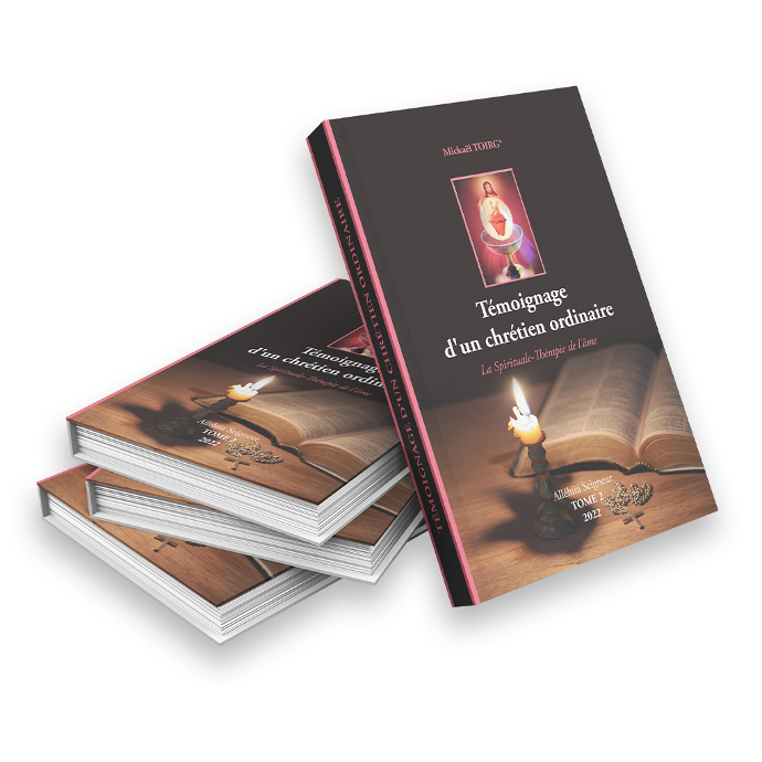 Tome 2 Témoignage d'un chrétien ordinaire